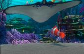 Le monde de Nemo 