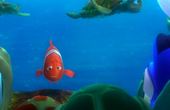 Buscando a Nemo 