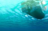 Finding Nemo 