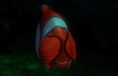 Procurando Nemo 