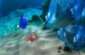 Le monde de Nemo 