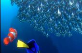 Buscando a Nemo 