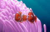 Finding Nemo 