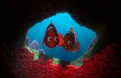 Le monde de Nemo 