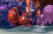 Op zoek naar Nemo 