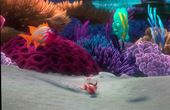 Find Nemo 