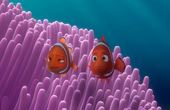 Finding Nemo 