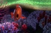 Finding Nemo 