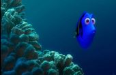 Finding Nemo 