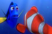 Procurando Nemo 