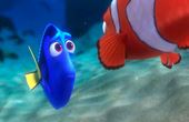 Procurando Nemo 