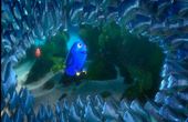 Finding Nemo 