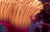 Le monde de Nemo 