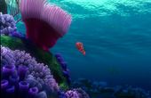 Procurando Nemo 