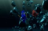 Op zoek naar Nemo 