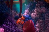 Op zoek naar Nemo 