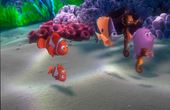 Procurando Nemo 