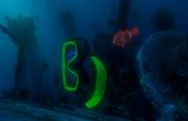 Finding Nemo 