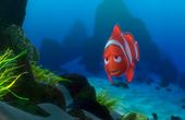 Procurando Nemo 