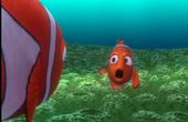 Procurando Nemo 