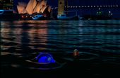 Finding Nemo 