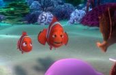 Op zoek naar Nemo 