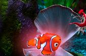 Le monde de Nemo 