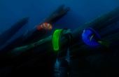 Finding Nemo 