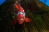 Procurando Nemo 