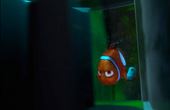 Procurando Nemo 