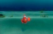 Buscando a Nemo 