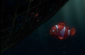 Finding Nemo 