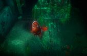 Finding Nemo 