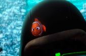 Op zoek naar Nemo 