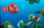 Procurando Nemo 