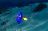 Procurando Nemo 