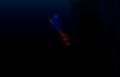 Finding Nemo 