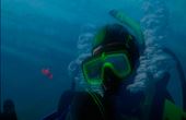 Finding Nemo 