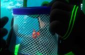 Finding Nemo 