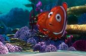 Procurando Nemo 