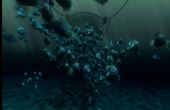 Finding Nemo 