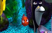 Alla ricerca di Nemo 