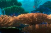 Finding Nemo 