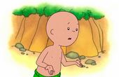 Caillou 