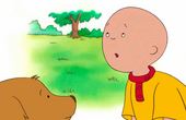 Caillou 