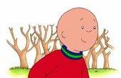 Caillou 