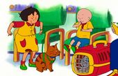 Caillou 