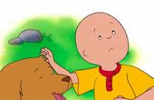 Caillou 