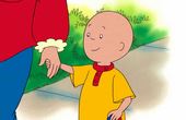 Caillou 