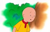 Caillou 